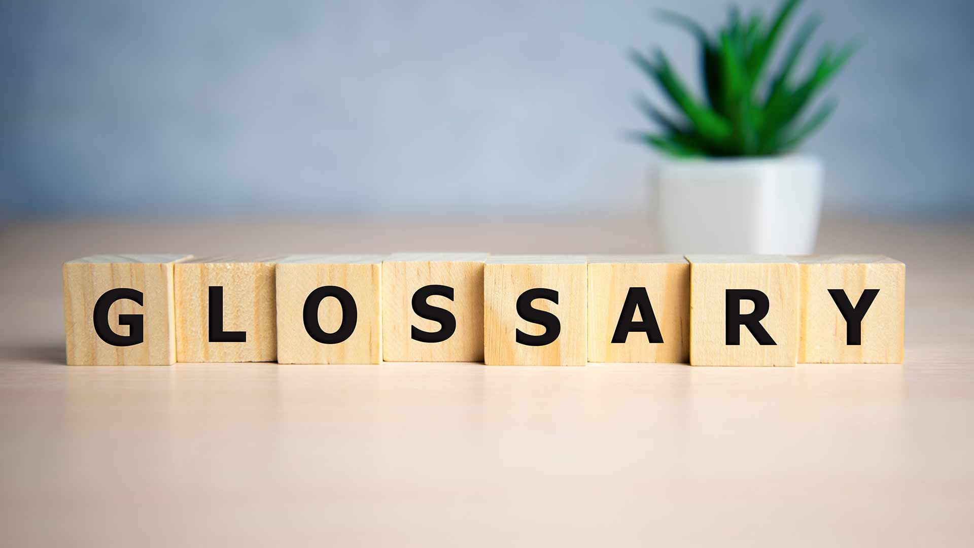 Legal Glossary